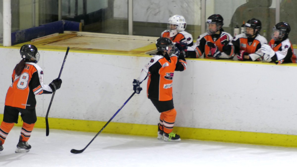 よっしー (@yossy134) / Posts / X