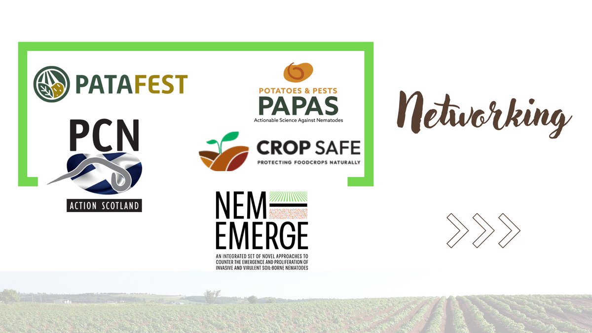 NEM-EMERGE tweet media