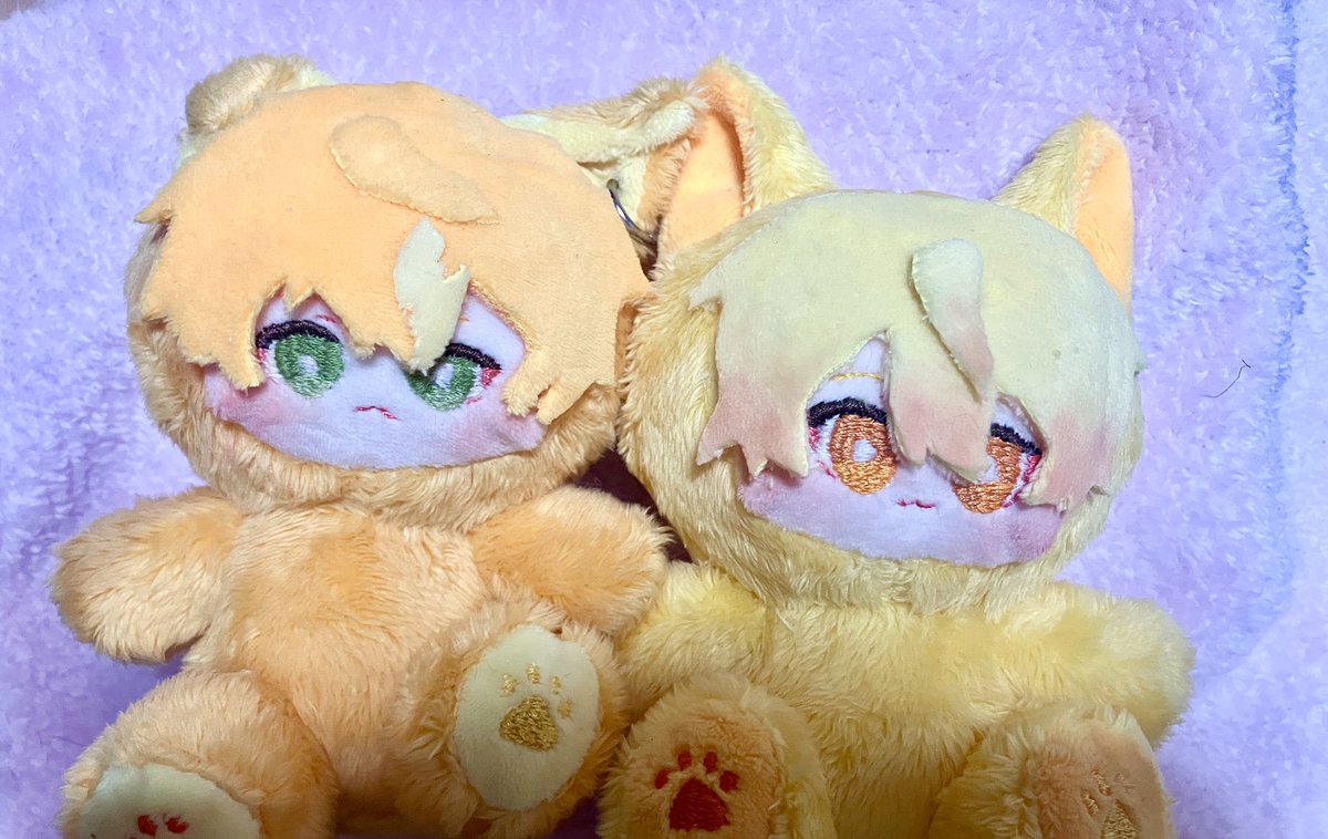 ぴよぴっこ 2/21ぬいFes🧸ぬい系YouTuber🐤 (@piyopicco) / Posts and