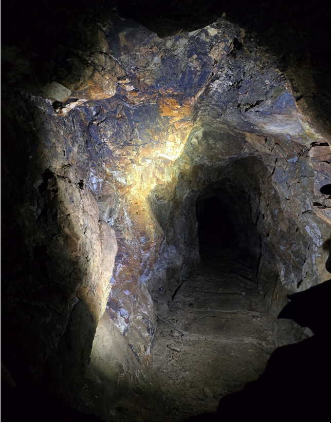 GoldenCrossAUX's tweet image. ⚒️ @GoldenCrossAUX has commenced the first-ever modern #drilling at the Aurora target within the Reedy Creek Project.
👉 Aurora hosts extensive historic artisanal workings from the late 1800s, with underground drives demonstrating structural continuity and mineralization across