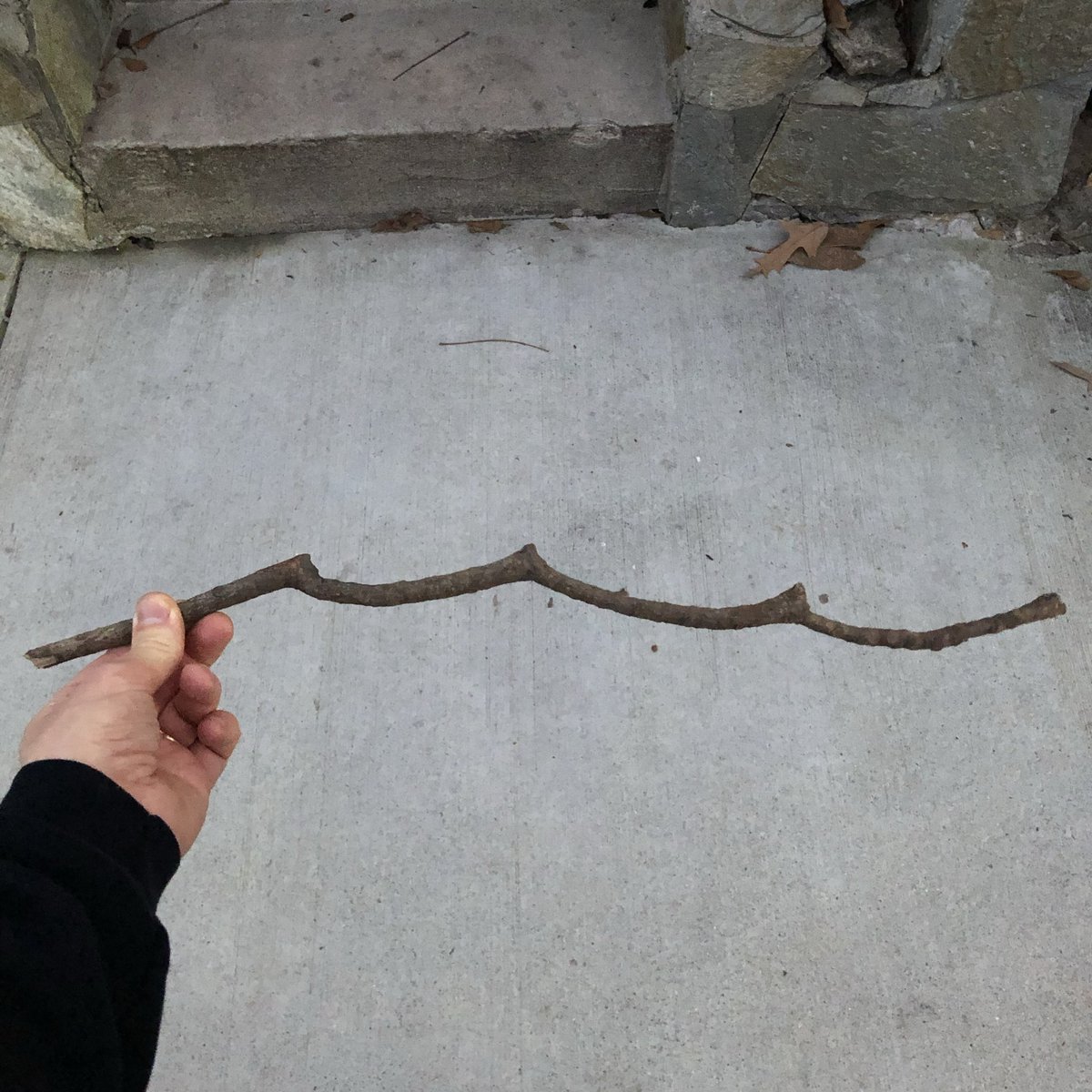 iambic tetrameter ass stick