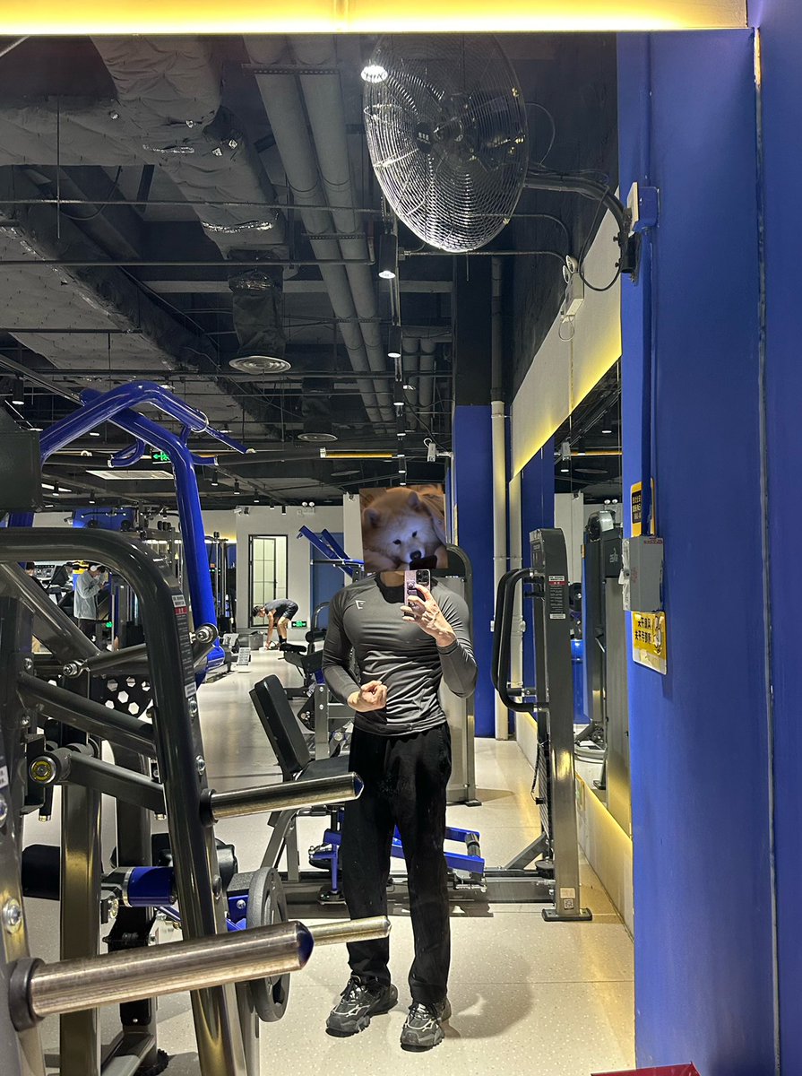 Terrence Chung tweet media