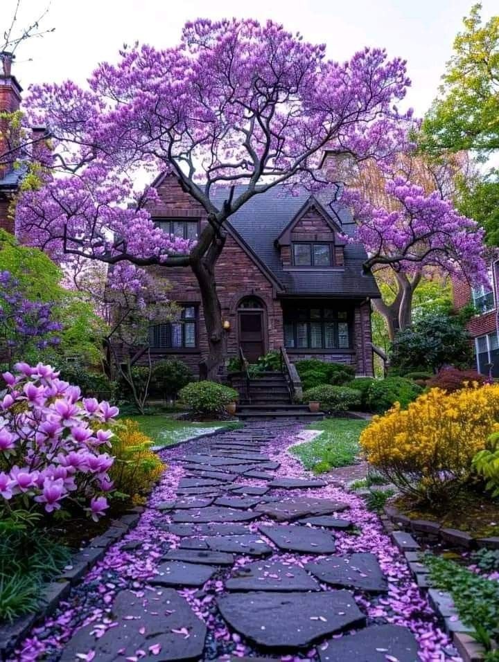 I'm a poet of this sweet home first, 
A naturally soulful singer second, 
Local, Continental, Western cook always,
And an all-time Lover known as a legend