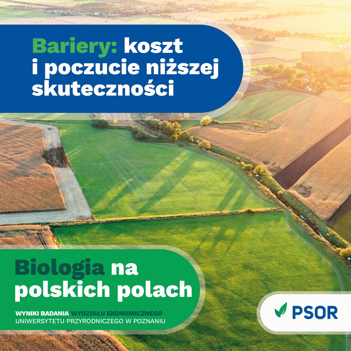 Polskie Stowarzyszenie Ochrony Roślin tweet media