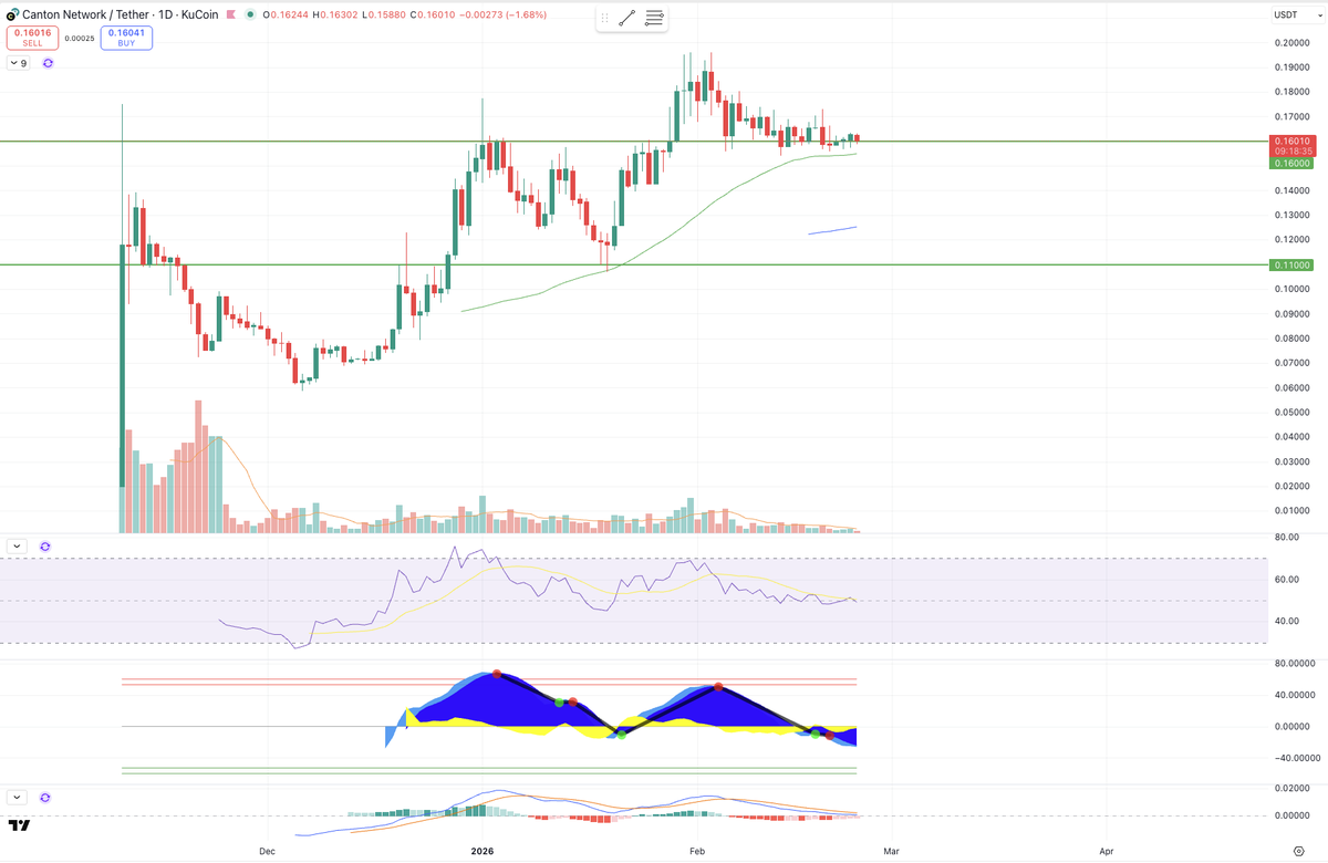 Mr_Cryptonaut's tweet photo. Update: $CC

Price still holding on to key support for now. Showing incredible strength despite the weak market across the board. 

Focus on strength during times of weakness! https://t.co/Hhhmsl7XrD