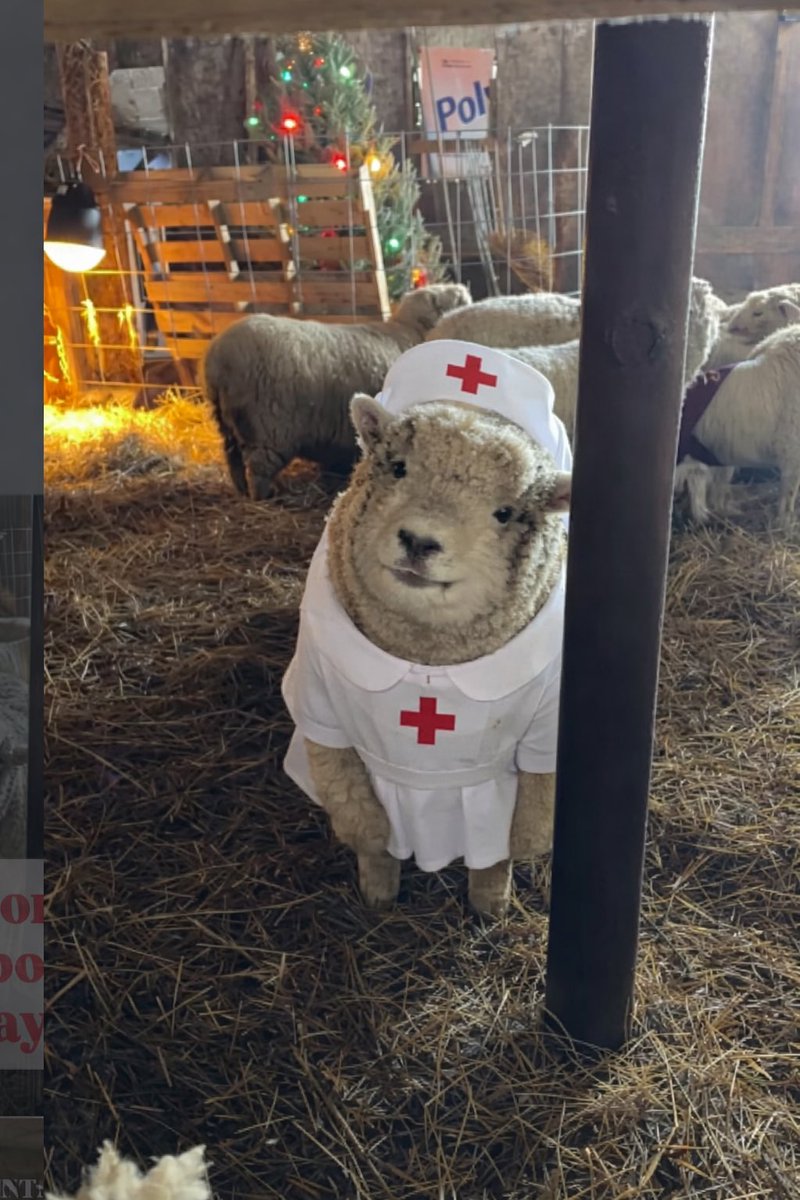 catez🔅 tweet media