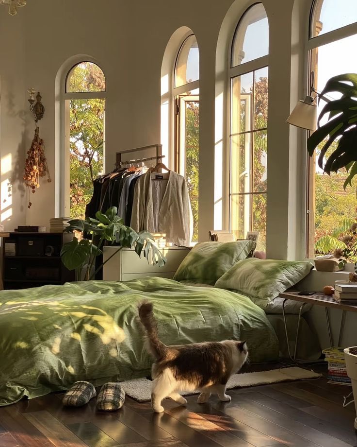 Harukasoraaa's tweet photo. There’s something so beautiful about homes that live in harmony with nature🍃 https://t.co/T73HwzFNWb