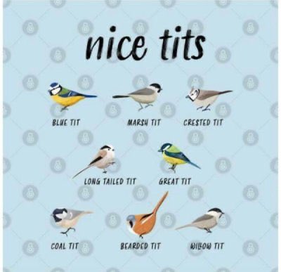 Good morning and happy Tuesday!