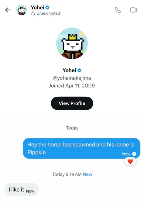 $PIPPIN has a new friend: $PIPPKIN

Sitting near all time highs right now and looks ready to push higher

The community reached out to the founder of $PIPPIN and he liked the concept

He already supported similar projects before and history tends to repeat itself