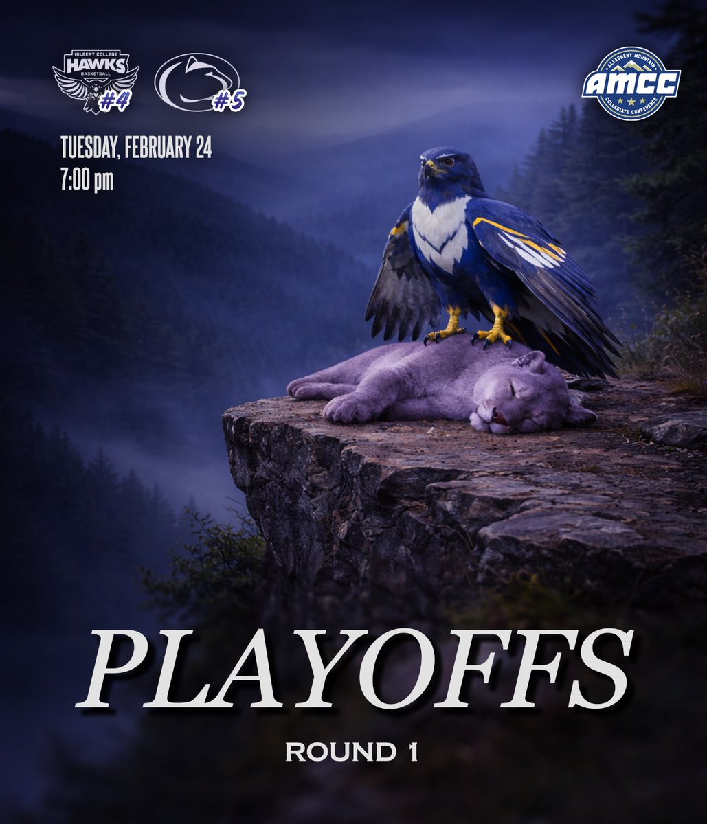 Hilbert College Men’s Basketball tweet media