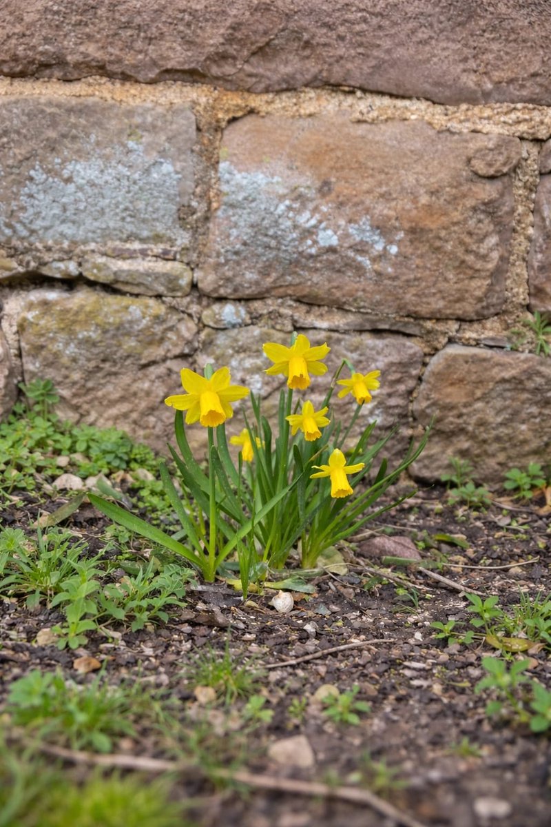 Rachel Abbott tweet media