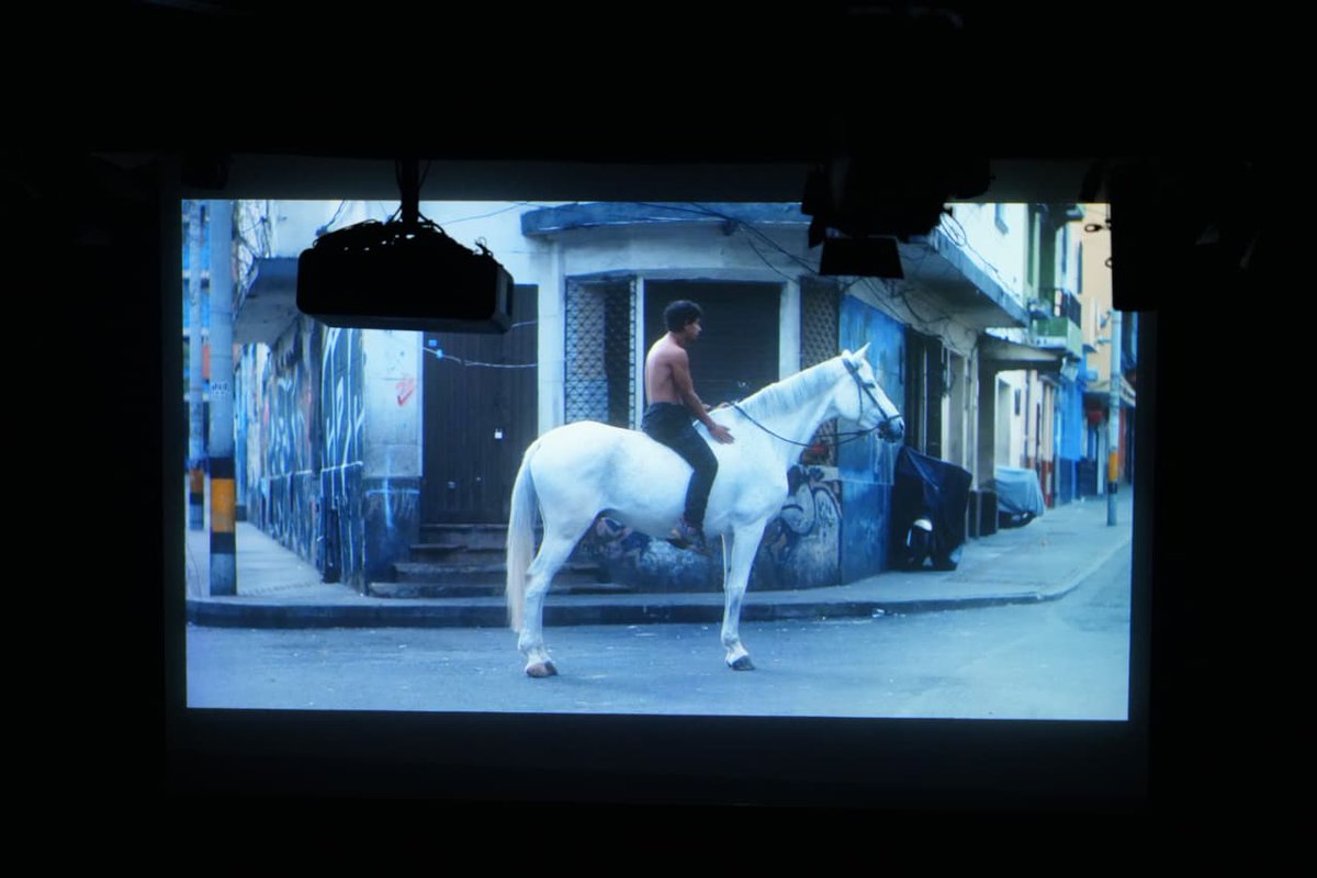 Embajada de Colombia en Dinamarca tweet media