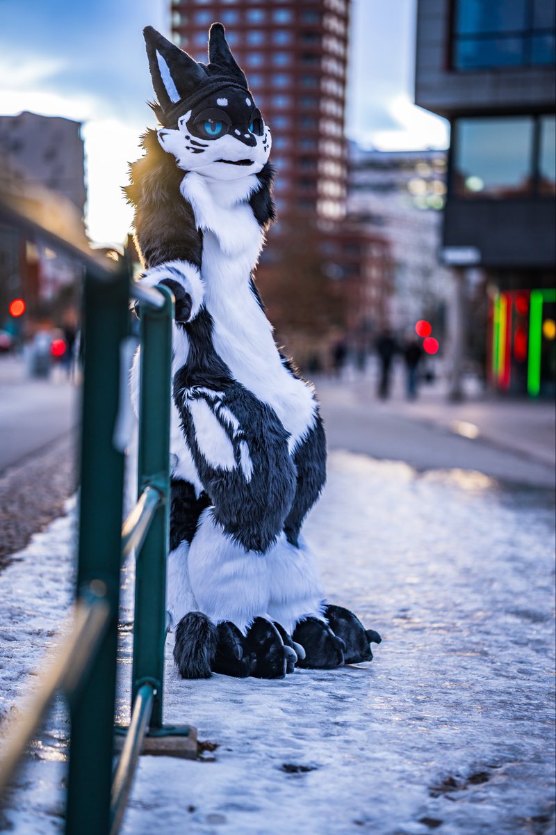 Dinalo Pasha Kurkov❣️🦊 🔜 ? tweet media