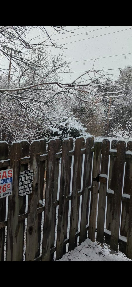 mafia_mastiff's tweet photo. The progression of the Bomb Cyclone that hit along the Shores of Southern Jersey yesterday. I measured 17 inches in my front yard with drifts up to 4 feet.
Thank God it's over but unfortunately there's more predicted later this week.
#ImOverWinter ๐บ๐ธโ๏ธ๐จ๏ธ https://t.co/Wf6KQSuiV2