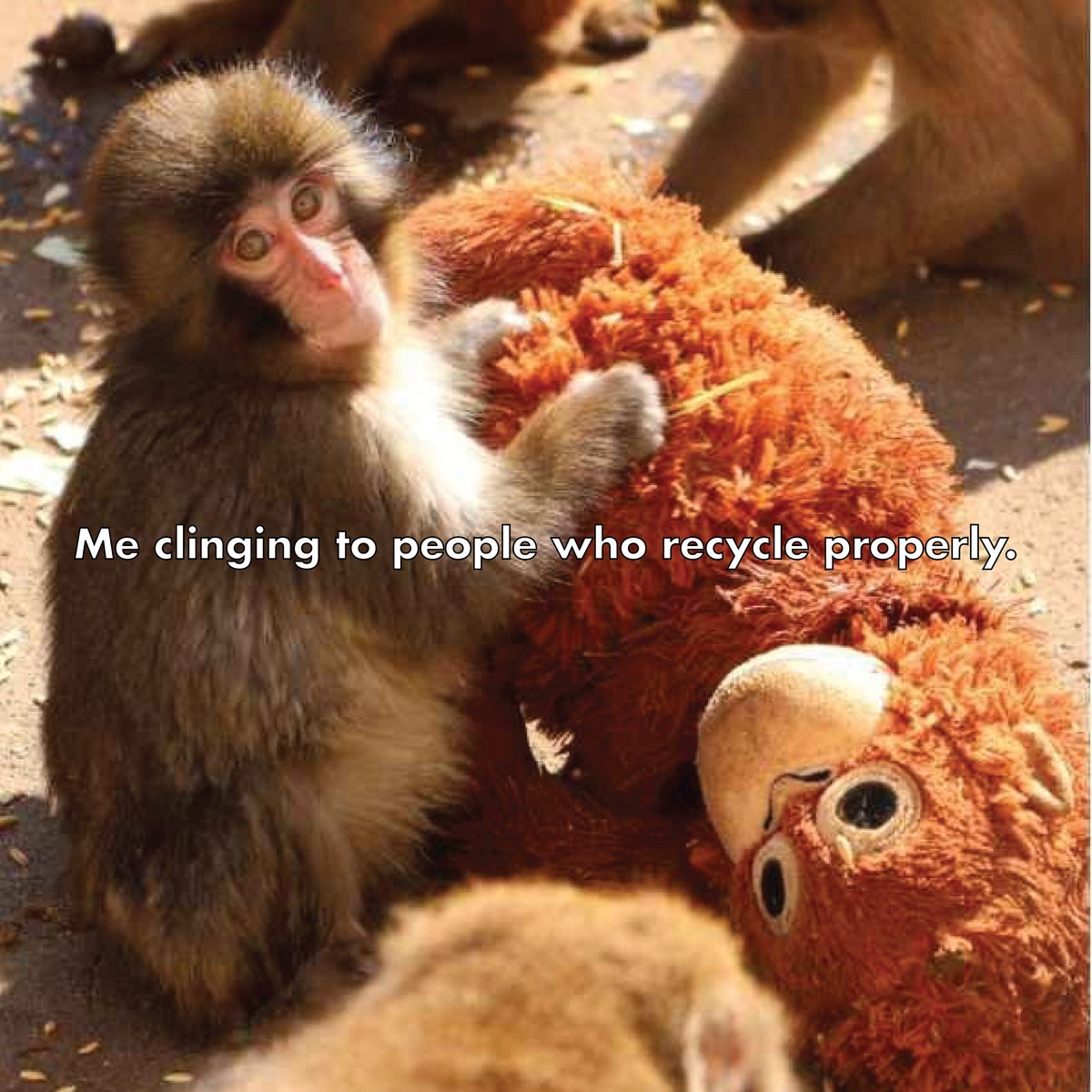 Busch Systems tweet media