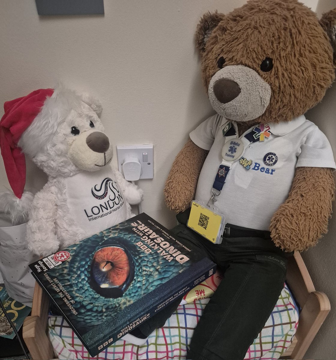 BDMed_Bear's tweet image. Yesterday I visited #Colchester in #Essex &amp;amp; I found this absolutely awesome #dinosaur book reduced to just £5 from £25 RRP!! Me &amp;amp; Rosie are enjoying reading it. I also found this little bear in a #charity shop &amp;amp; thought he was adorable, especially his rainbow scarf!#bearswithjobs