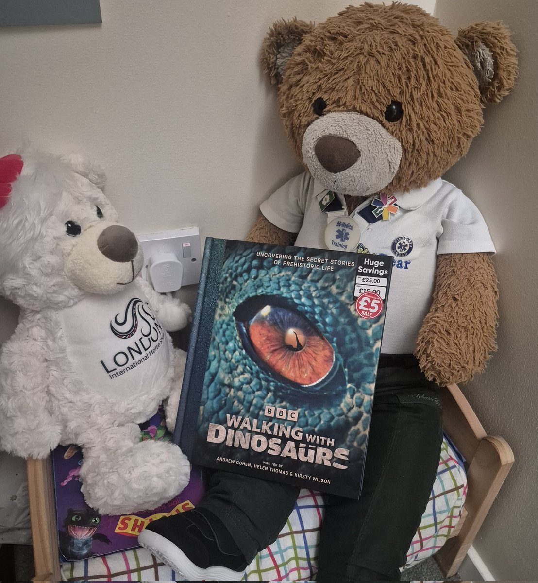BDMed_Bear's tweet image. Yesterday I visited #Colchester in #Essex &amp;amp; I found this absolutely awesome #dinosaur book reduced to just £5 from £25 RRP!! Me &amp;amp; Rosie are enjoying reading it. I also found this little bear in a #charity shop &amp;amp; thought he was adorable, especially his rainbow scarf!#bearswithjobs