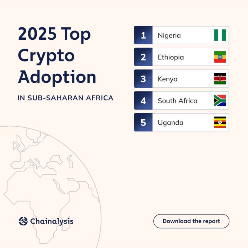 ZOEY🟪🥇 tweet media