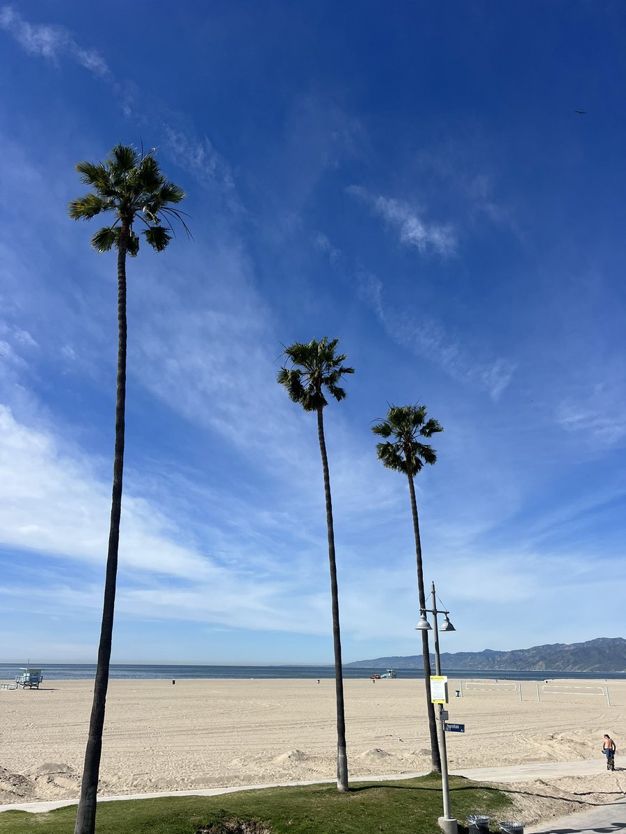 Emily Talas tweet media