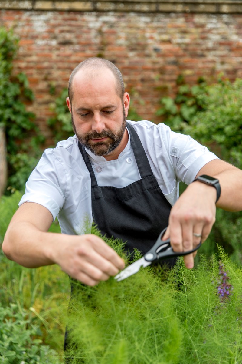 Middlethorpe Hall NT tweet media