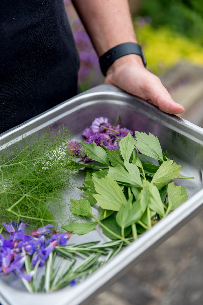 Middlethorpe Hall NT tweet media