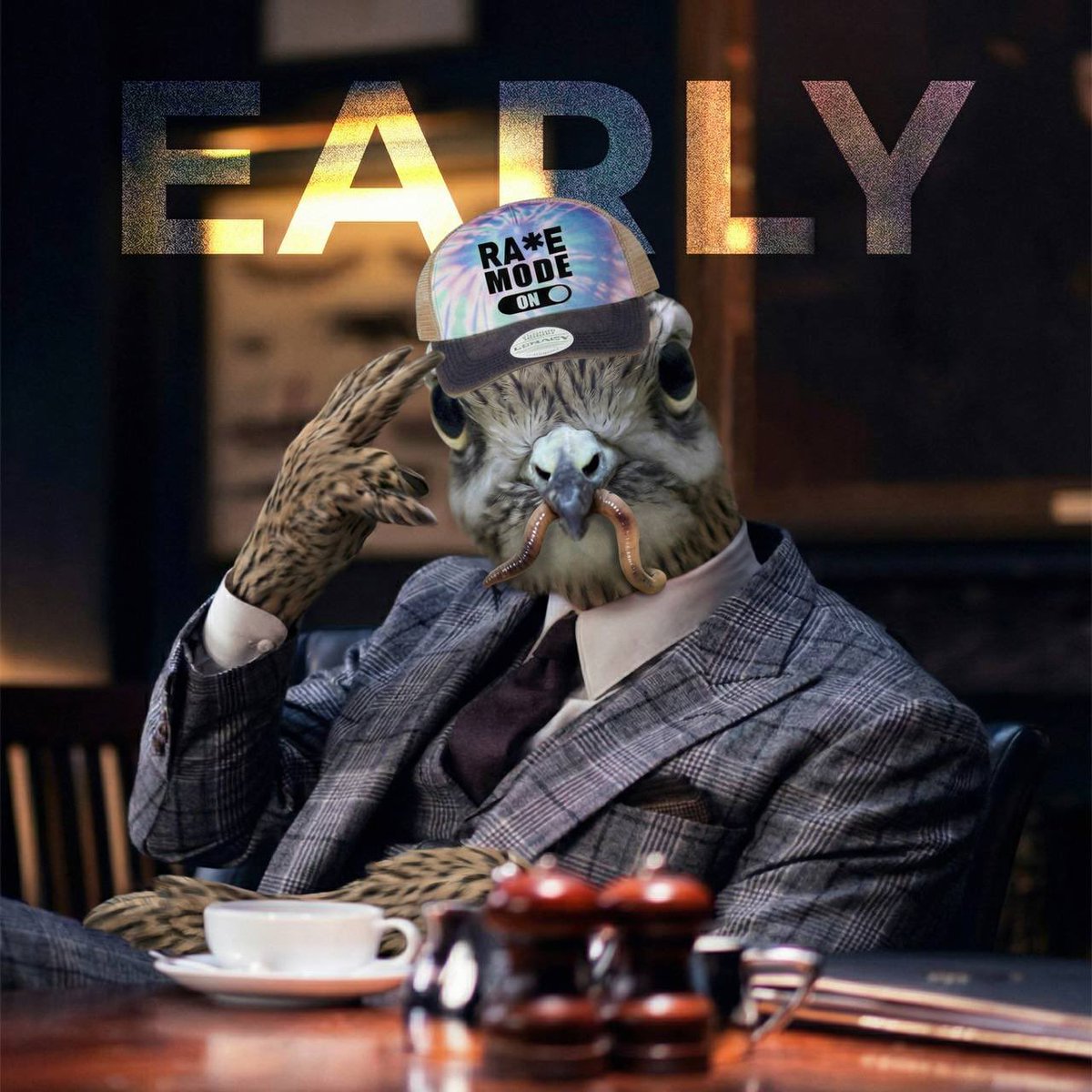 Early Bird tweet media