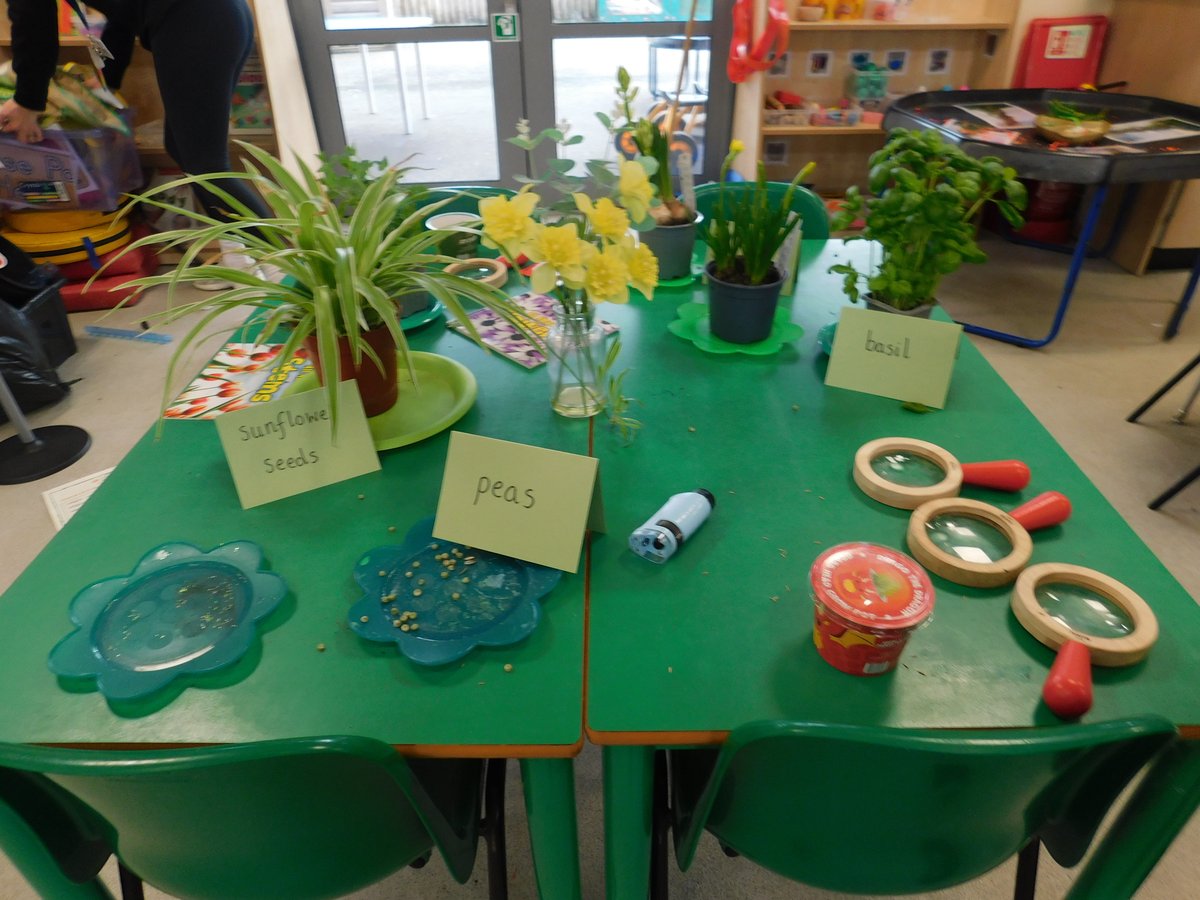 Millfield Academy tweet media