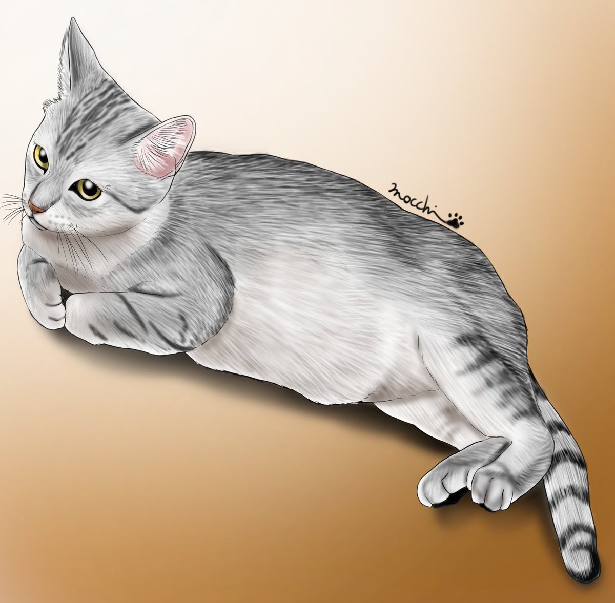 もっち（mocchi） (@mocchimocchi09) / Posts / X