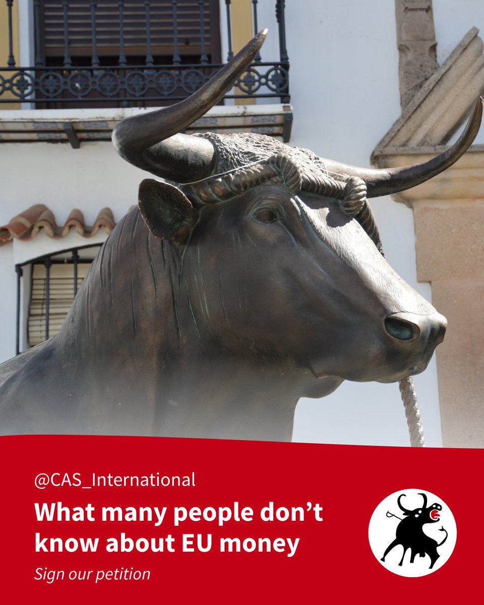 CAS International tweet media