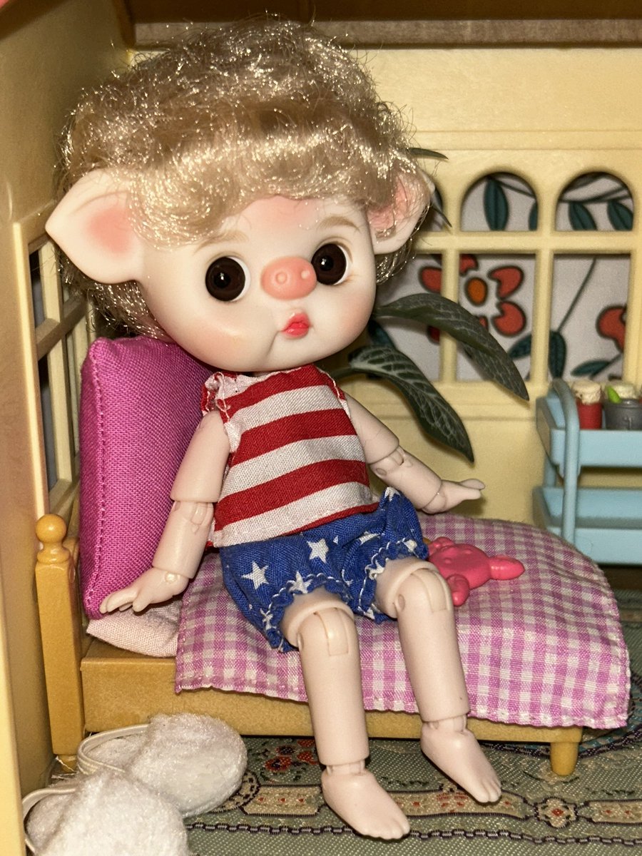 Snorty is loving his new home!