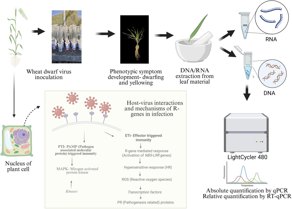 Annals of Applied Biology tweet media