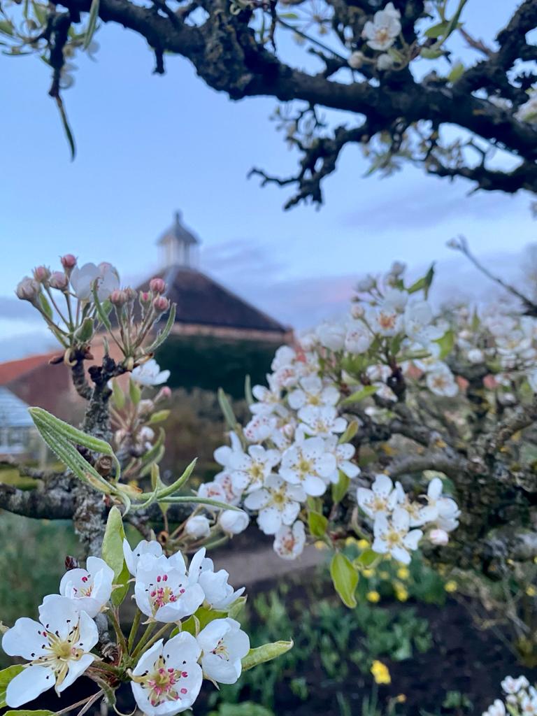 Middlethorpe Hall NT tweet media