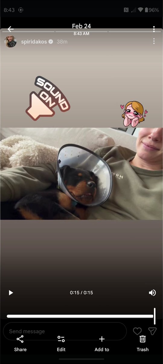 peachylinzcvt's tweet image. Jesse's documenting Cali's first few days, and Tracy posting them - how am I going to survive until the crossover with all this cuteness?? #dogmom #dogdad #rescuedog #upsteadforever