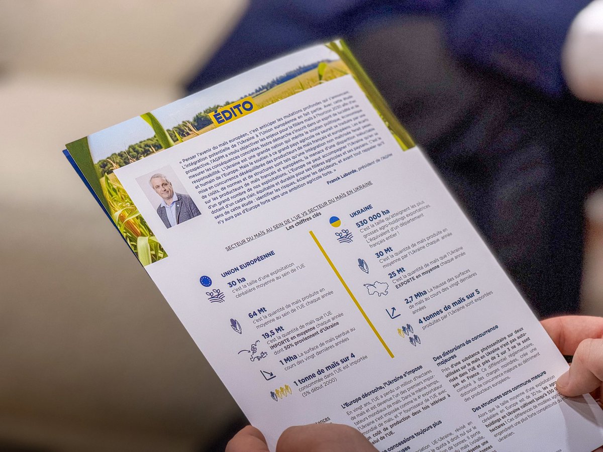 Max Brisson tweet media