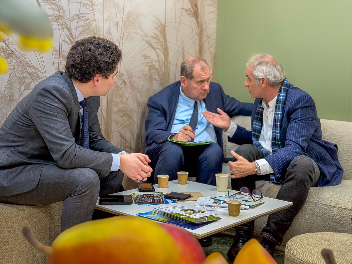 Max Brisson tweet media