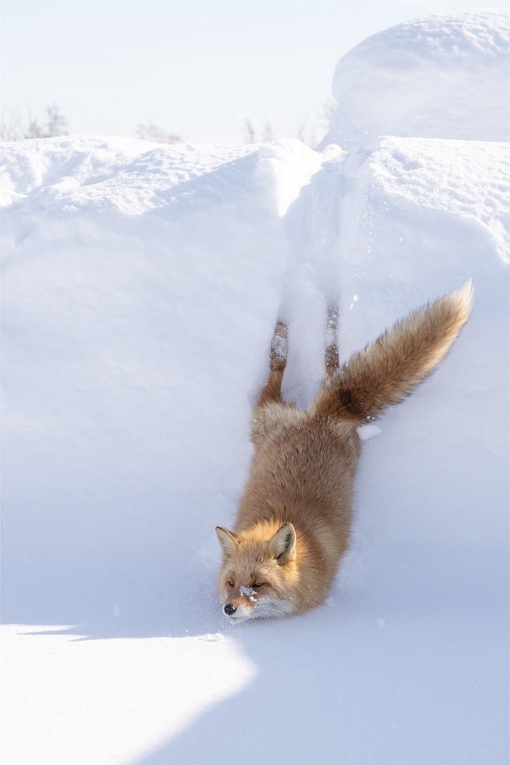 playin in da snow