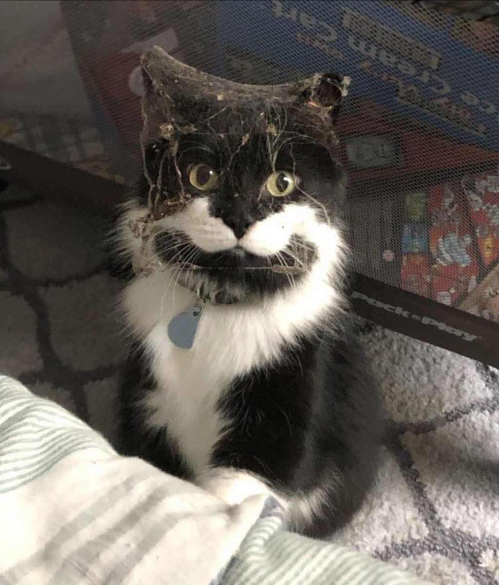 Una barridita abajo de la cama no estaría mal Karen.