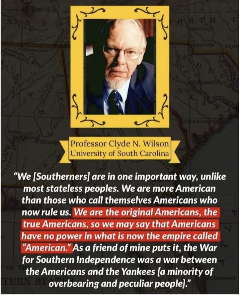 WanjiruNjoya's tweet image. I don't understand how a Somalian in Minnesota is a true American that's allowed to wave the Somalian flag, but Virginians and Carolinians are not true Americans and are banned from waving the Southern Cross in their own Southland.