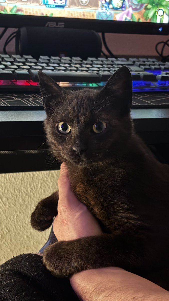 𝑲𝒊𝒏𝒈 𝑩𝒐𝒐 *:・゚𝙄'𝙈 𝙎𝙀𝙀𝙄𝙉𝙂 𝘽𝙏𝙎😭 tweet media