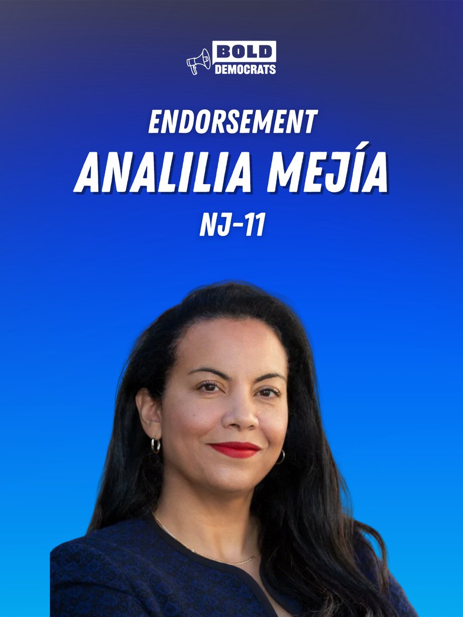 BOLD Democrats tweet media