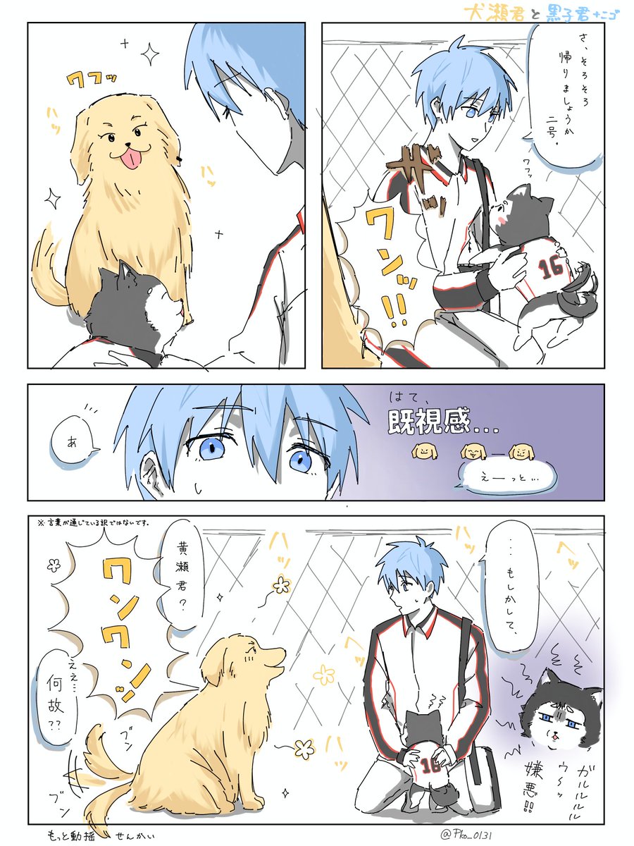 【黄黒】犬瀬君と黒子君＋ﾆｺﾞ