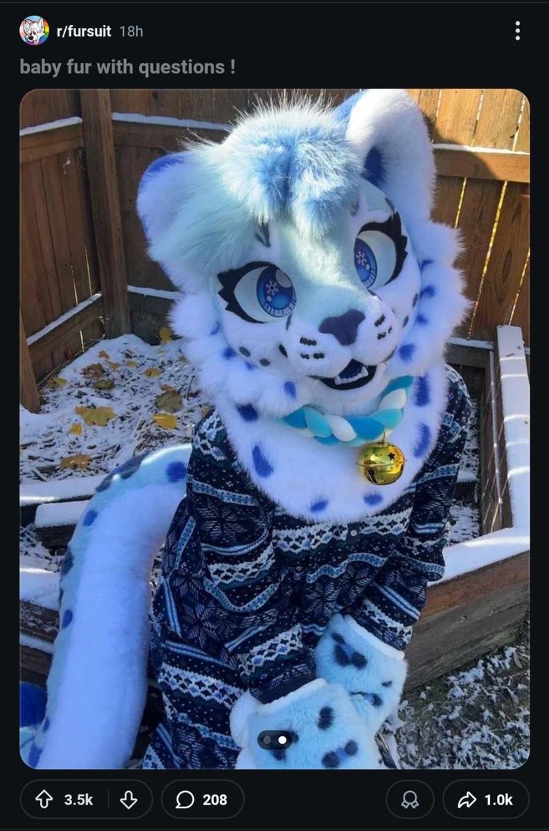 ❄️Snowberry Frost🫐🧊 tweet media
