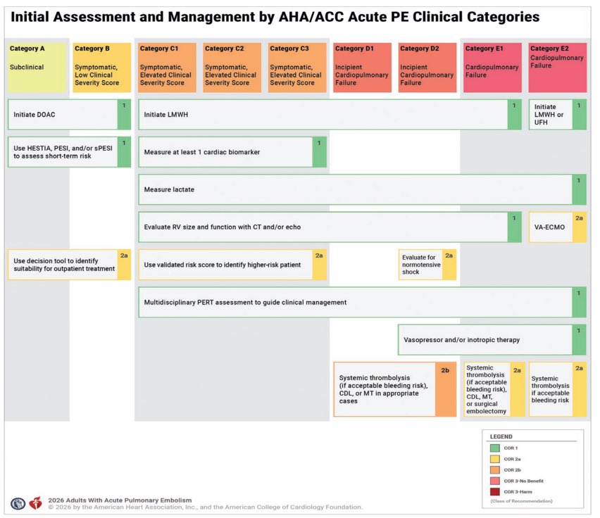 Nuevas guías en TEP. Vistas en nuestra sesión. Algunos puntos dudosos y otros muy cuestionables. Solo una opinión.