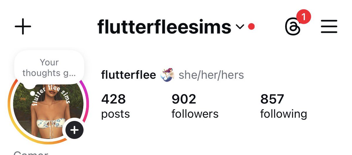 FLUTTER FLEE | STEPHꨄ︎ tweet media