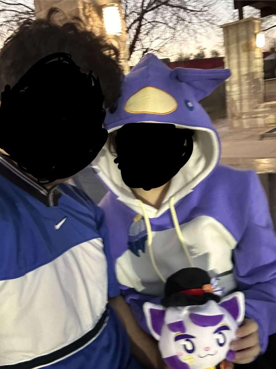 koi the cat tweet media