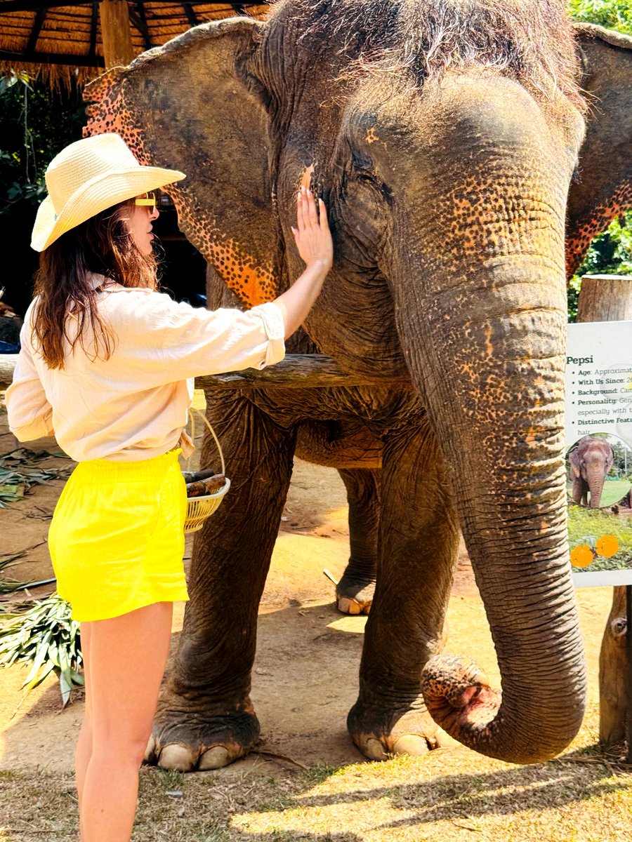 Currently collecting passport stamps and tributes🌞

What about you?😉