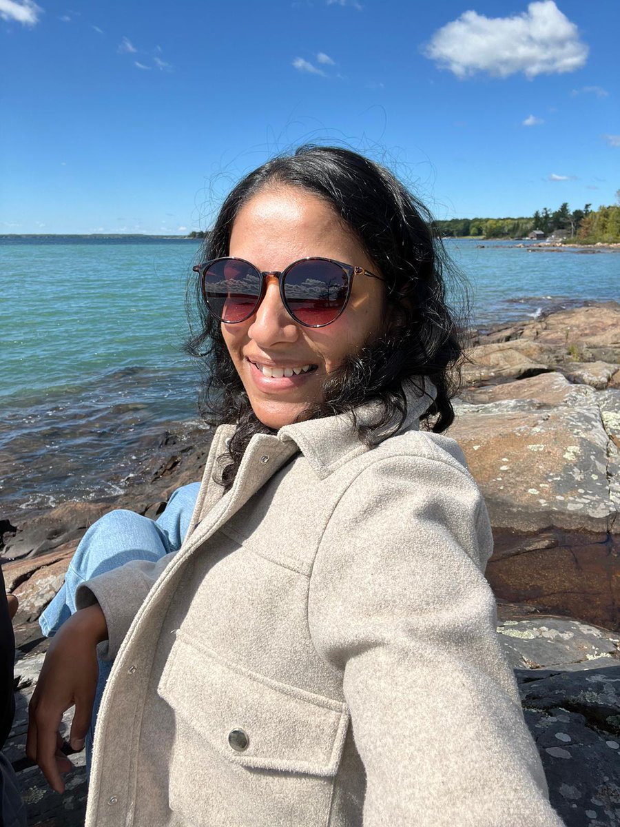 Directive tweet media