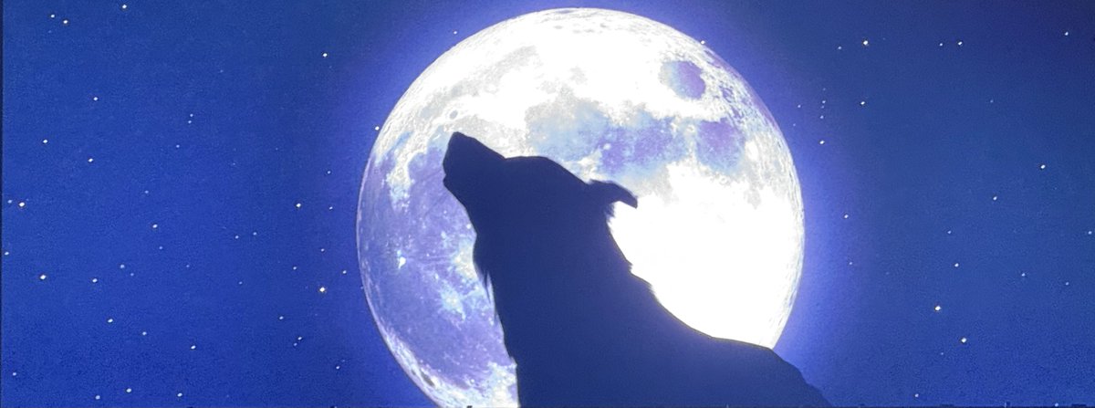 asuka_alphaz🐺 tweet media