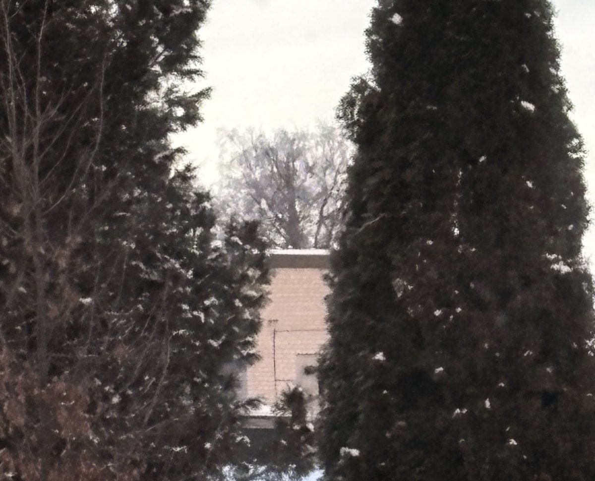 Look at this square tree