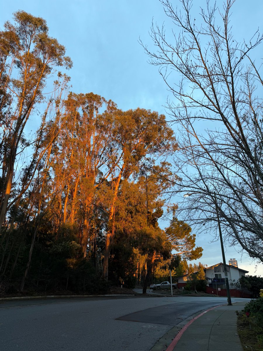 MarceStarlet{⭐️} tweet media